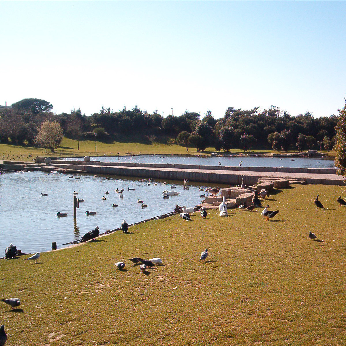 Parque da Cidade