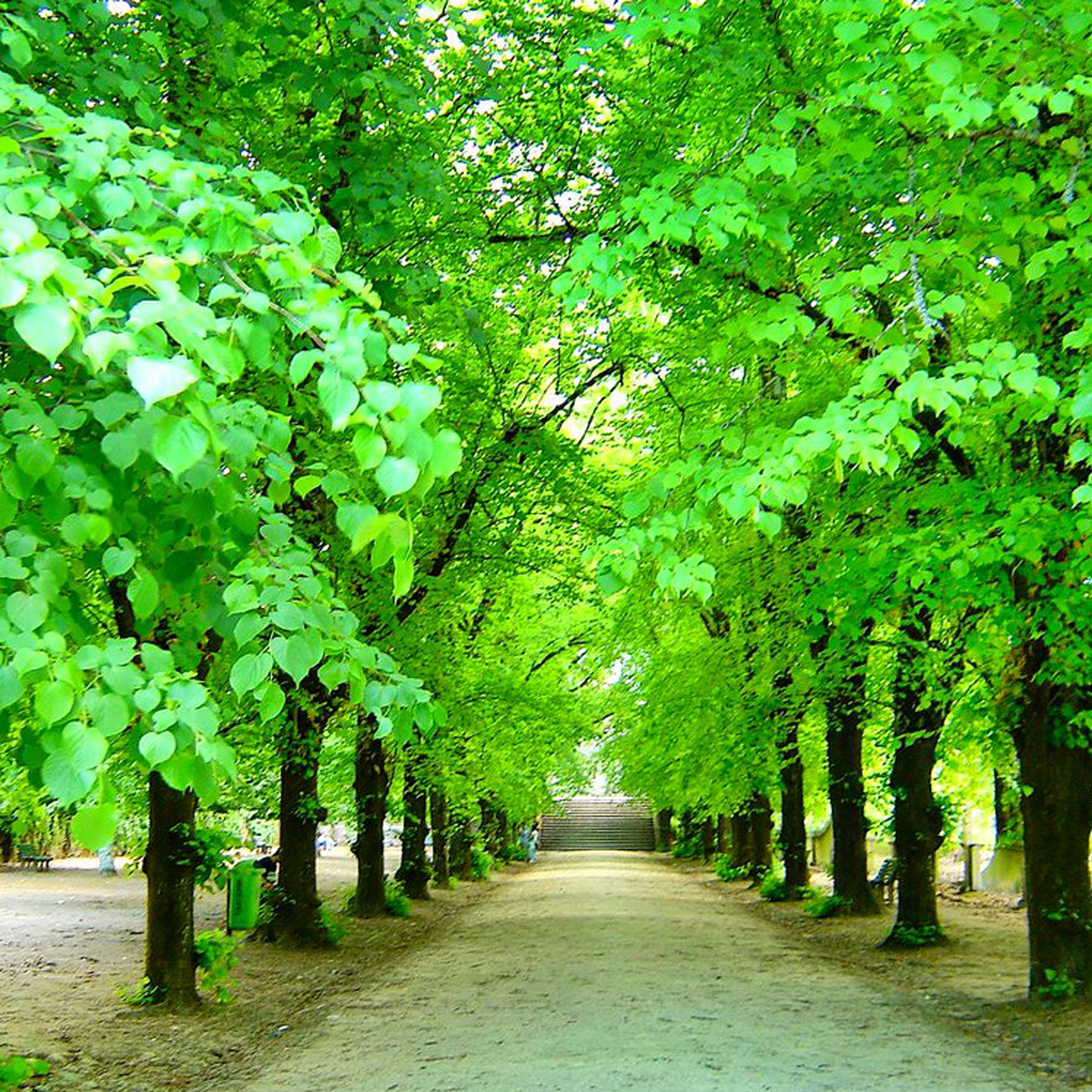 Jardim Botânico da Universidade de Coimbra