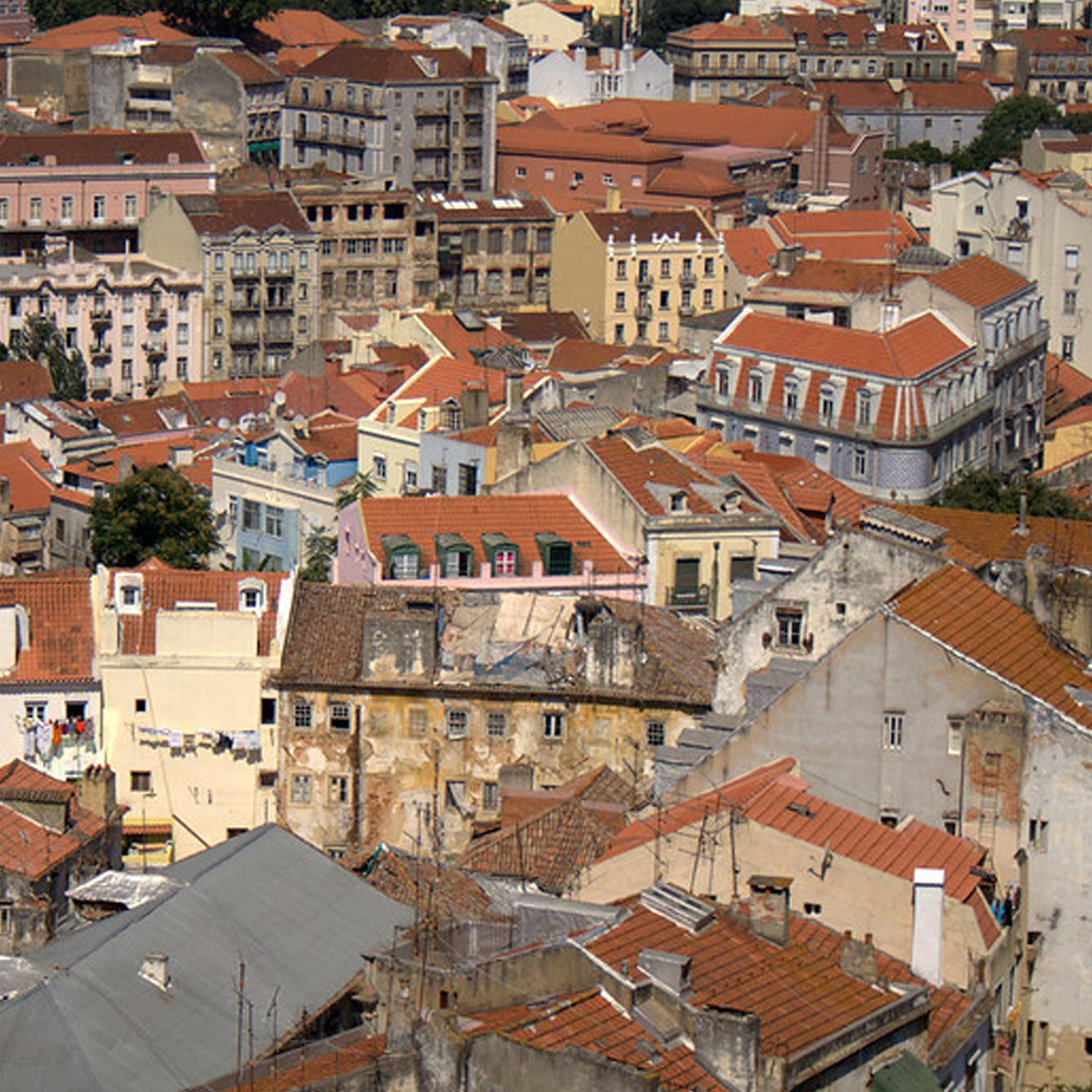 Miradouro da Graça