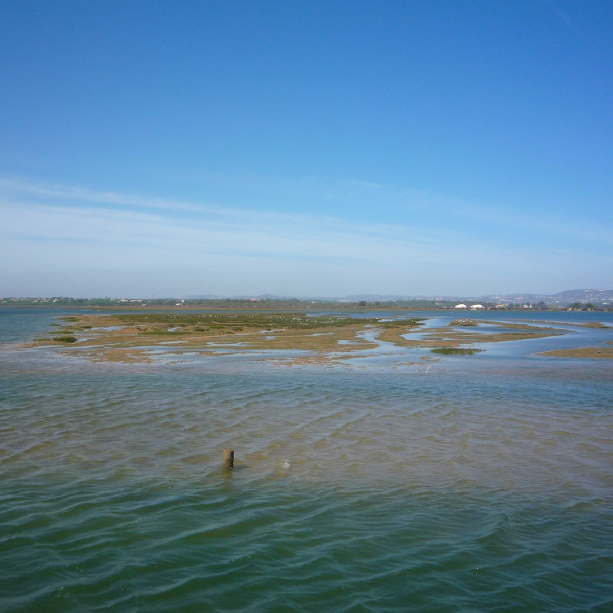 Image of Ria Formosa Natural Park