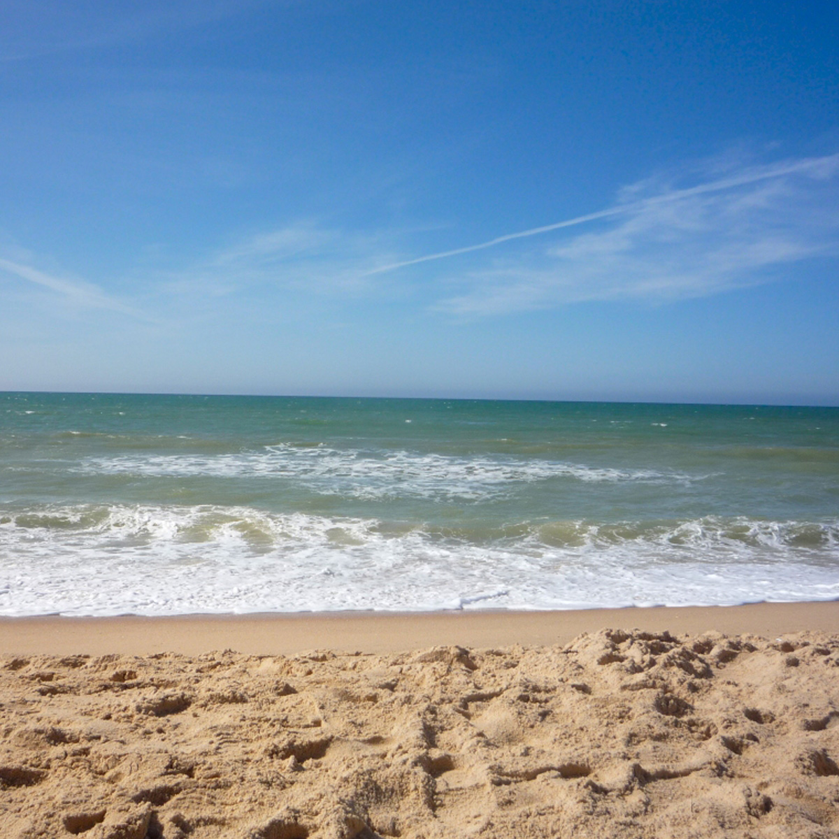 Image of Ria Formosa Natural Park