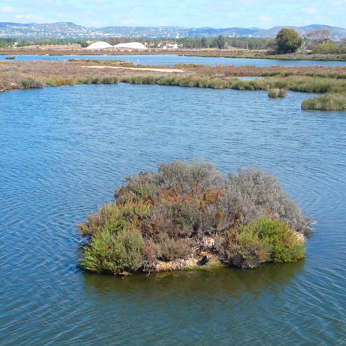 Image of Ria Formosa Natural Park