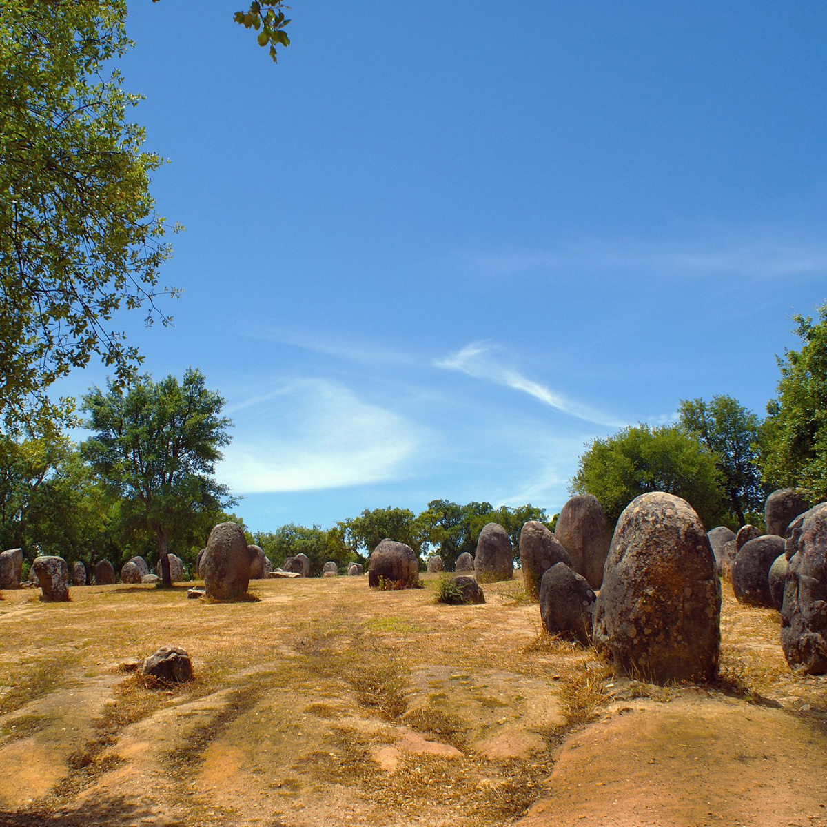 Image of Almendres Cromlech