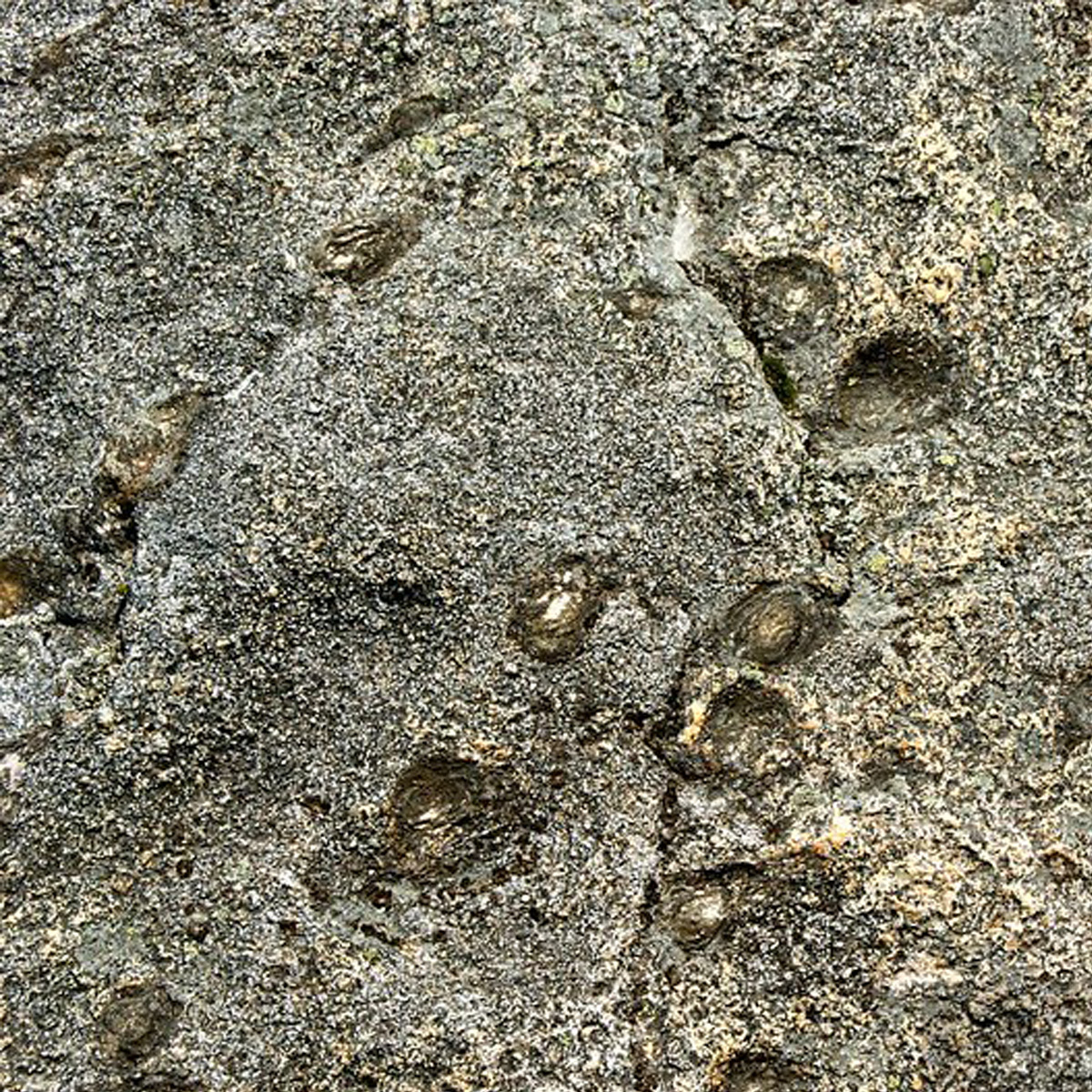 Image of Pedras Parideiras (Birthing Stones)