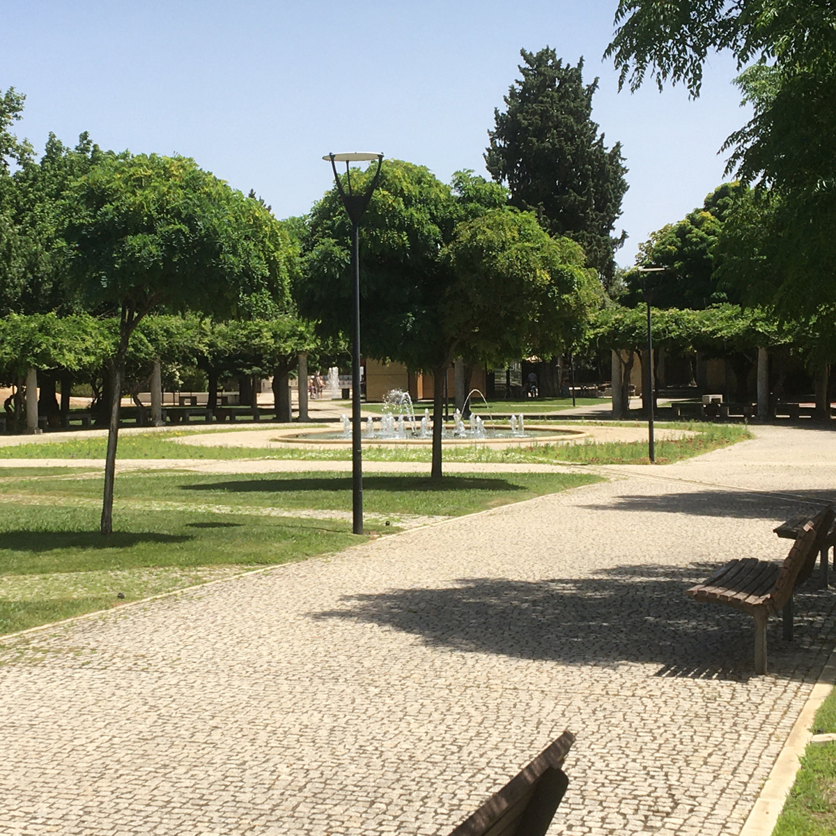 Image of City Park Castelo Branco