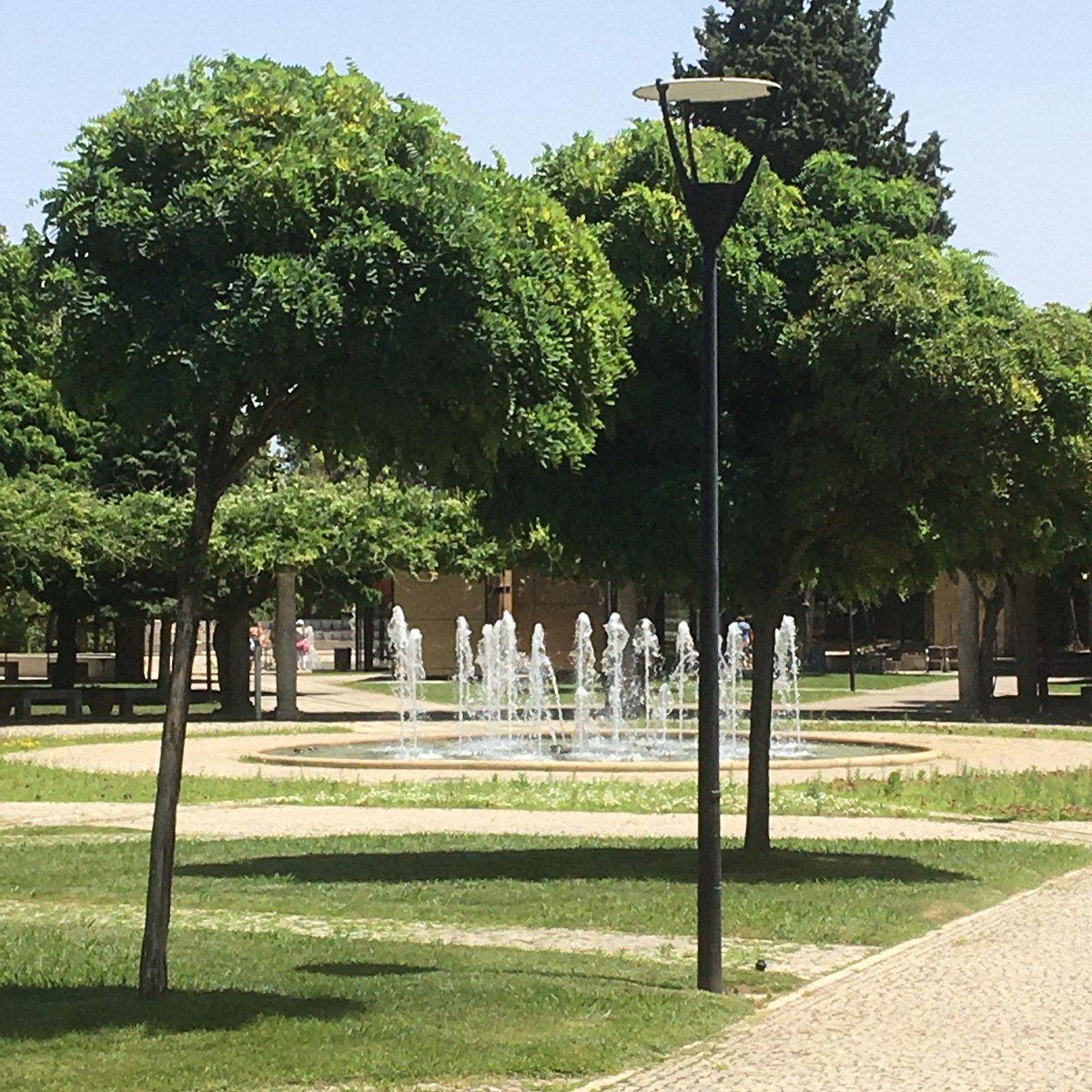 Image of City Park Castelo Branco
