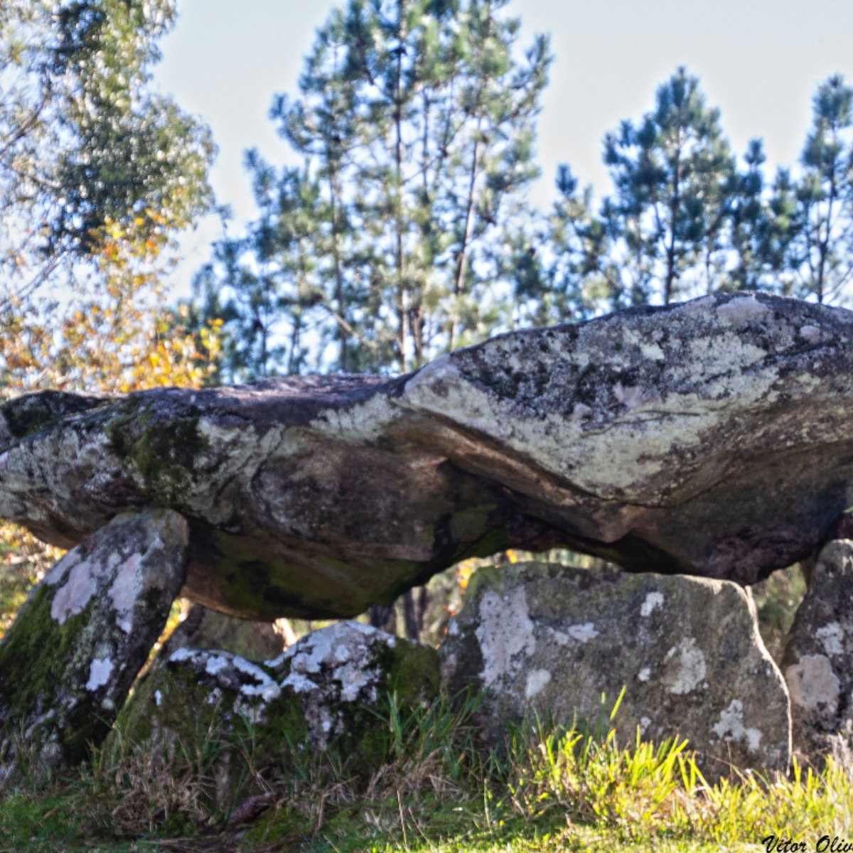 Image of Anta da Cerqueira