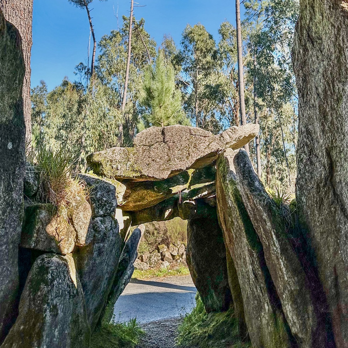 Image of Anta da Cerqueira