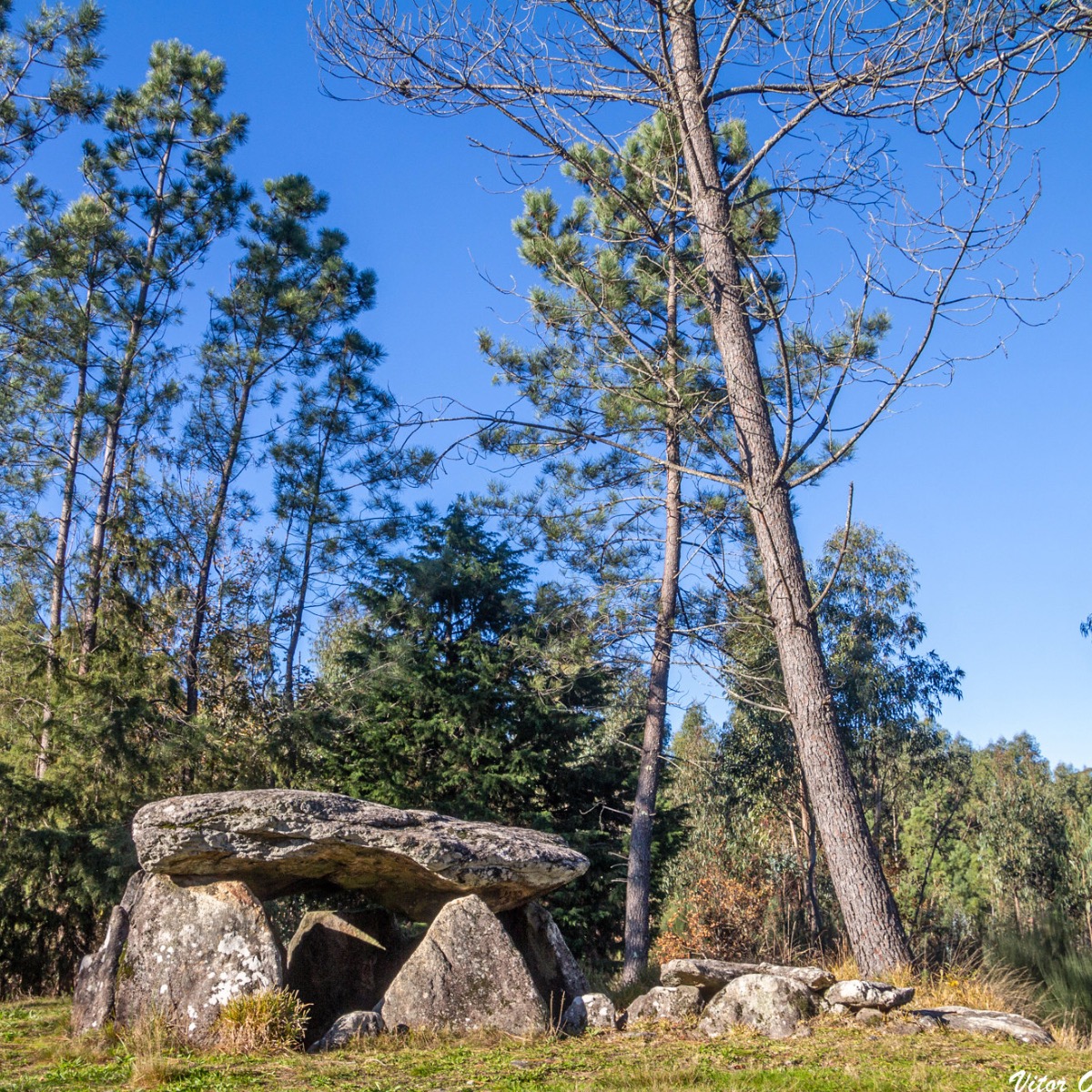 Image of Anta da Cerqueira