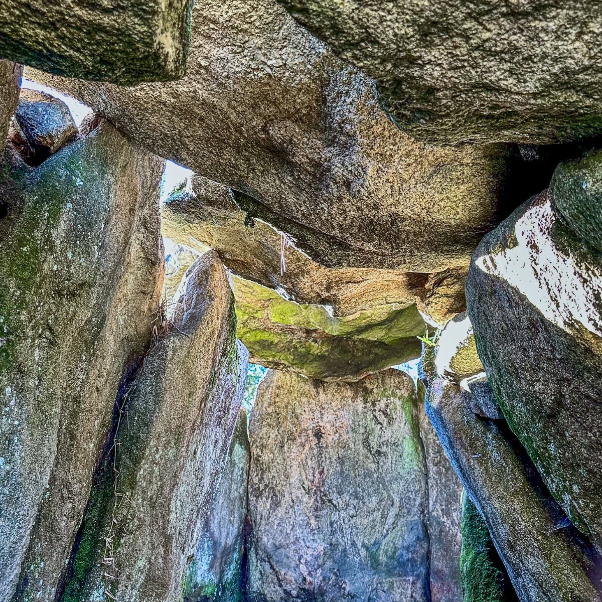 Image of Anta da Cerqueira