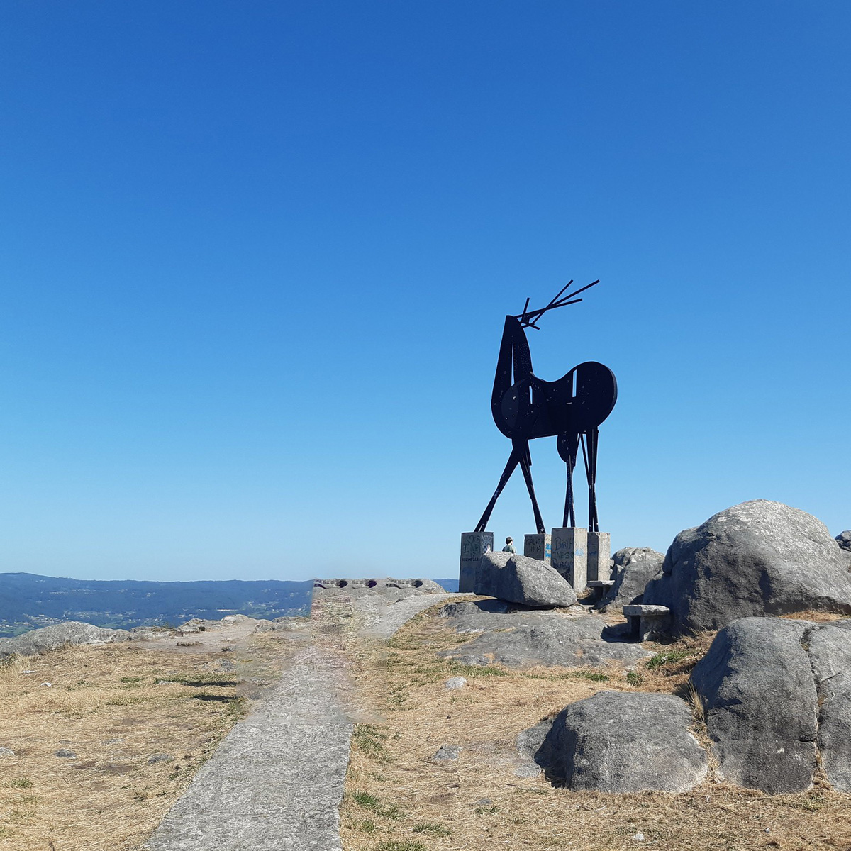 Image of Miradouro do Cervo