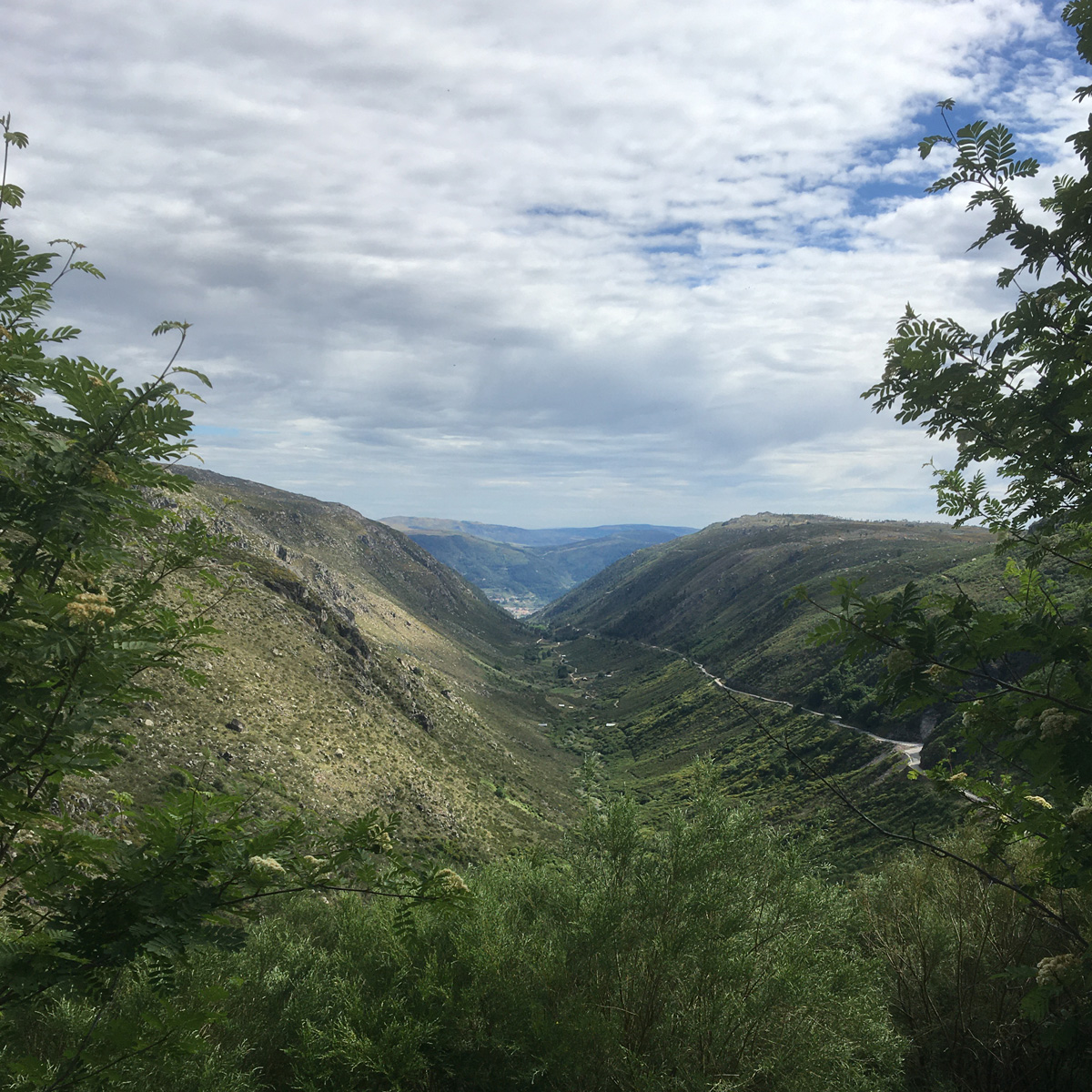 Image of Covão d'Ametade