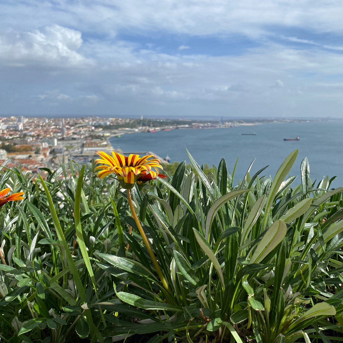 Image of Forte de São Filipe