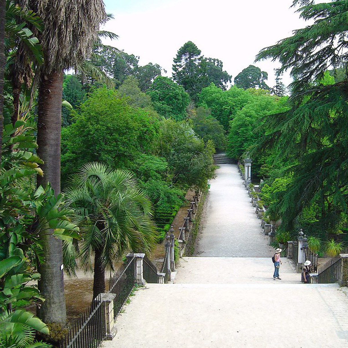 Image of Jardim Botânico da Universidade de Coimbra