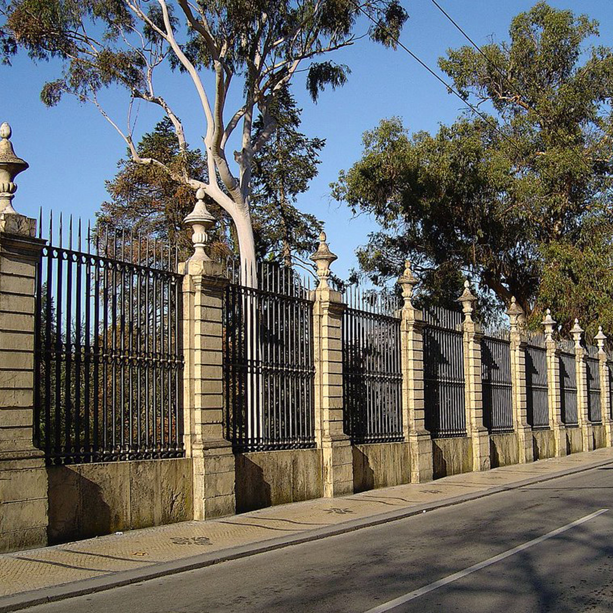 Image of Jardim Botânico da Universidade de Coimbra