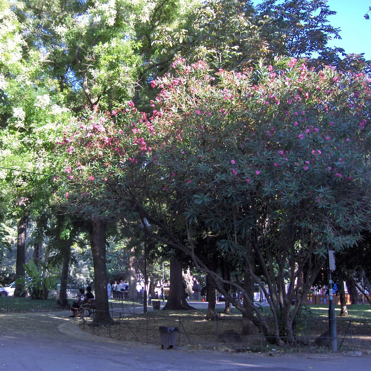 Image of Jardim do Príncipe Real