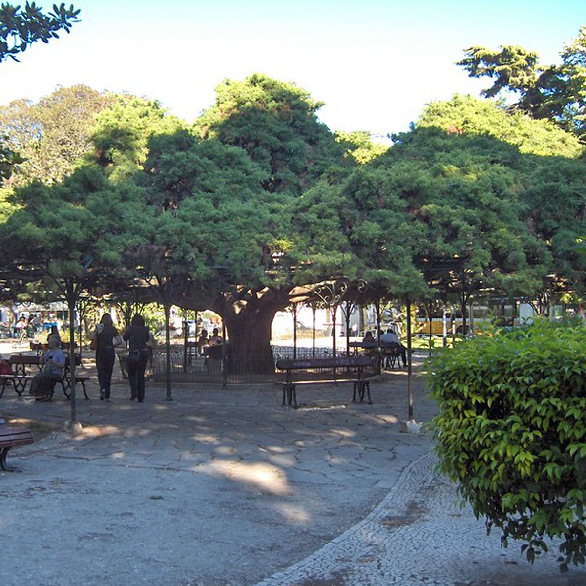 Image of Jardim do Príncipe Real