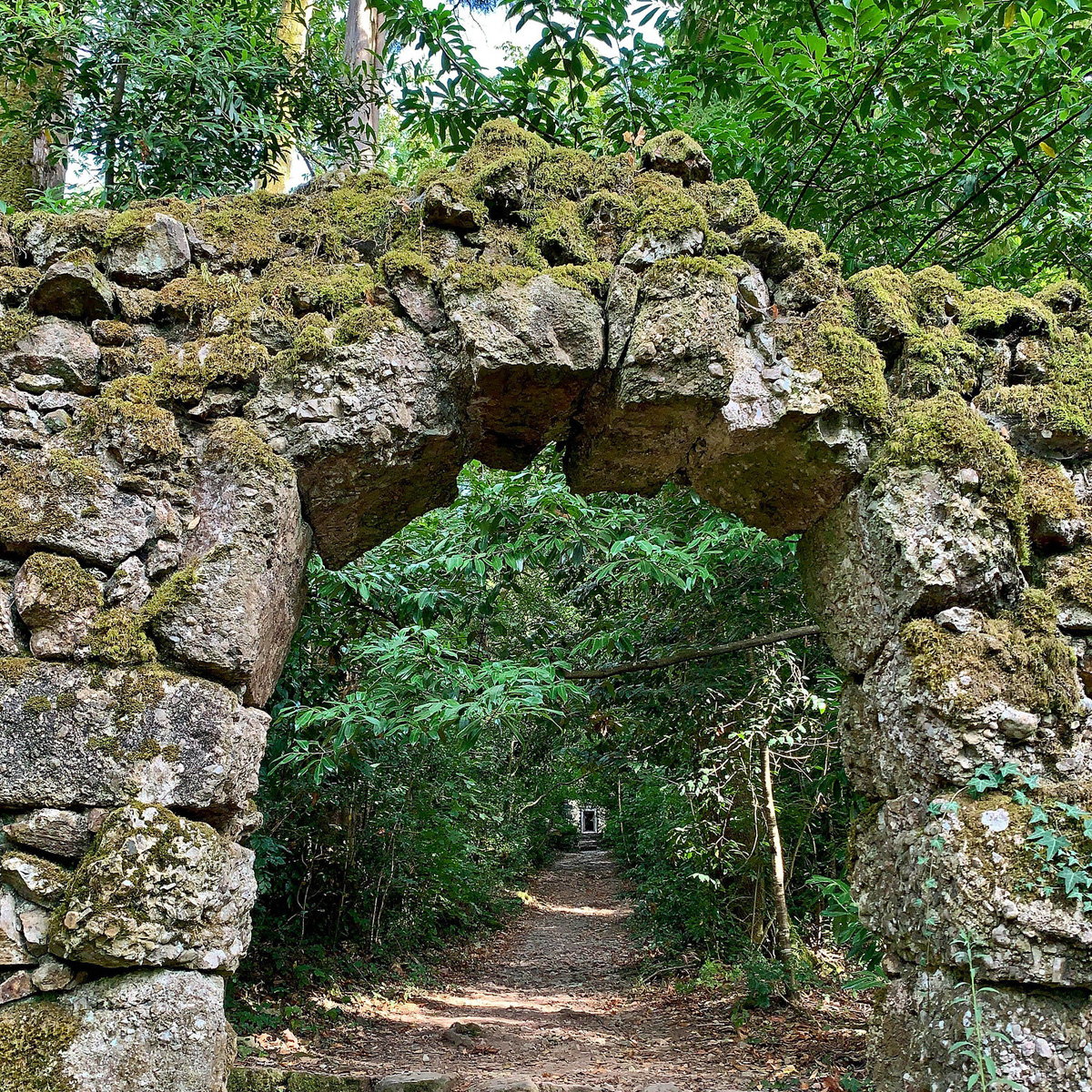 Image of Mata Nacional do Bussaco, Coimbra