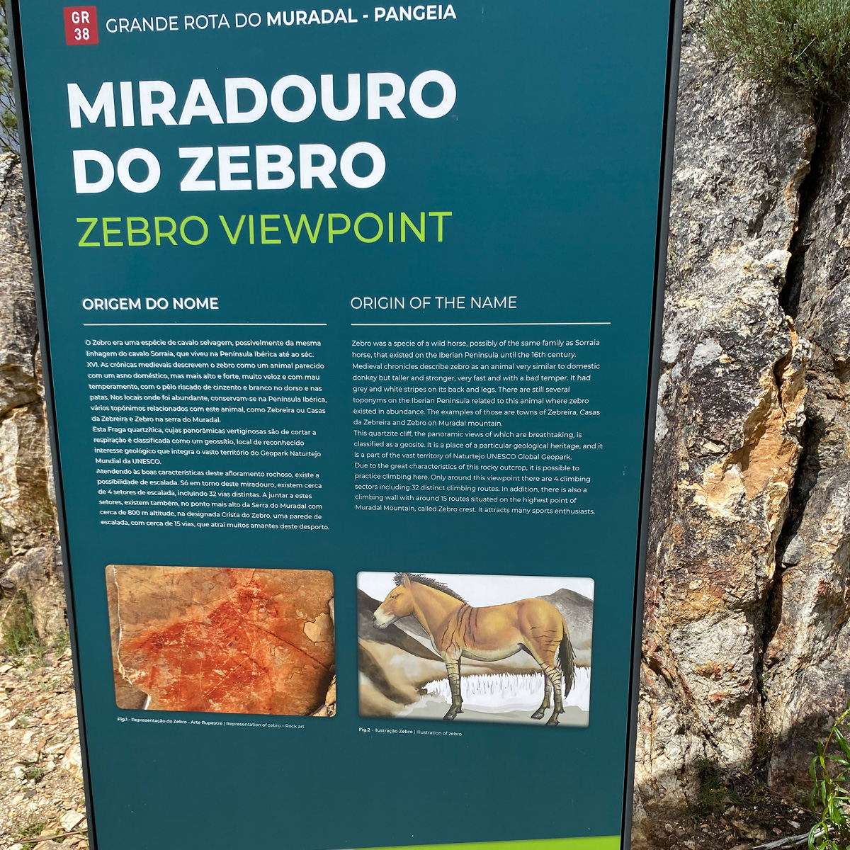 Image of Miradouro do Zebro