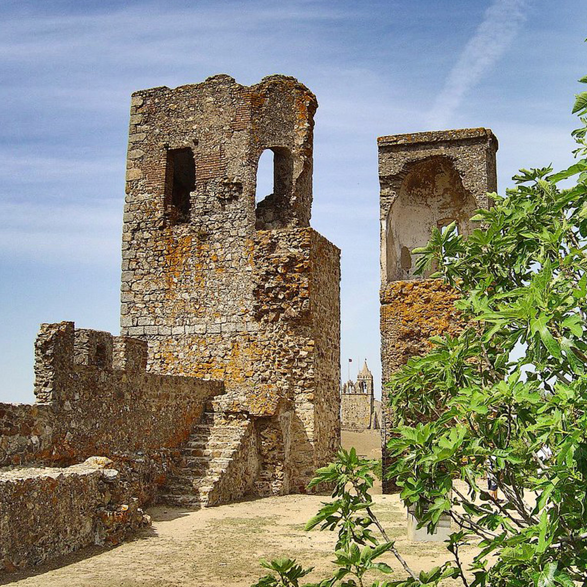 Image of Castelo de Montemor-o-Novo