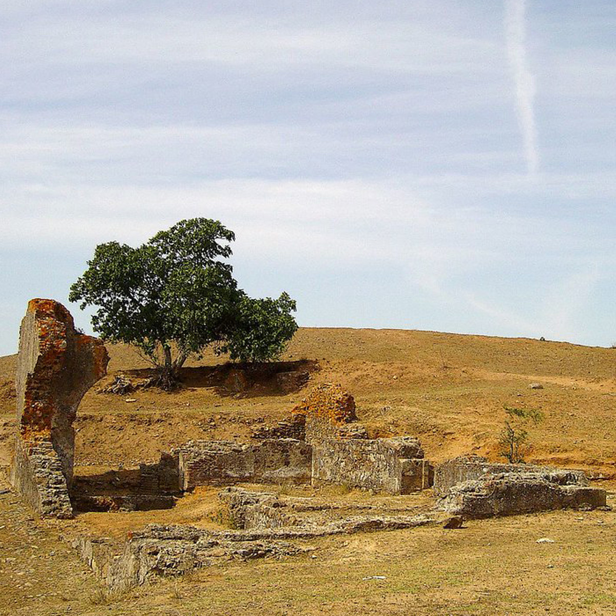 Image of Castelo de Montemor-o-Novo