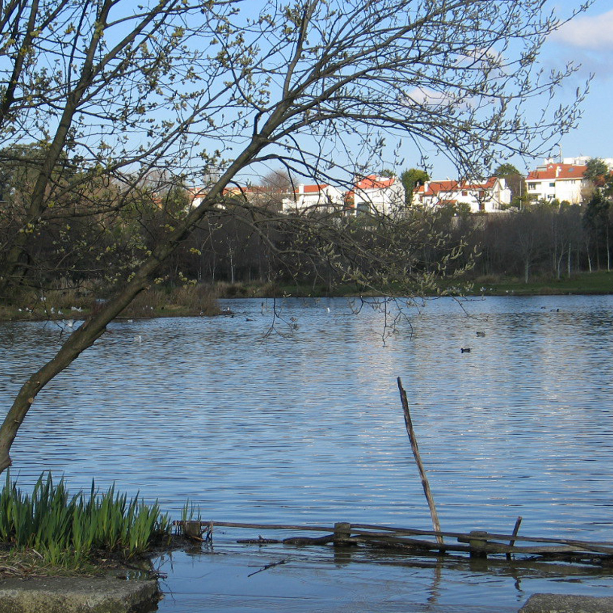 Image of Parque da Cidade