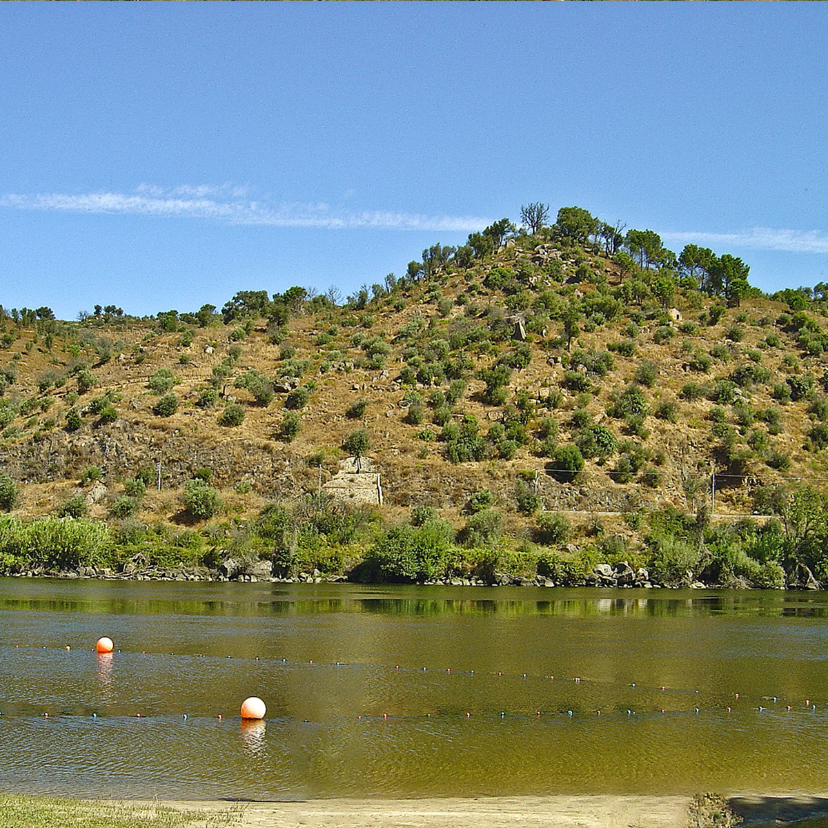 Image of Praia do Alamal