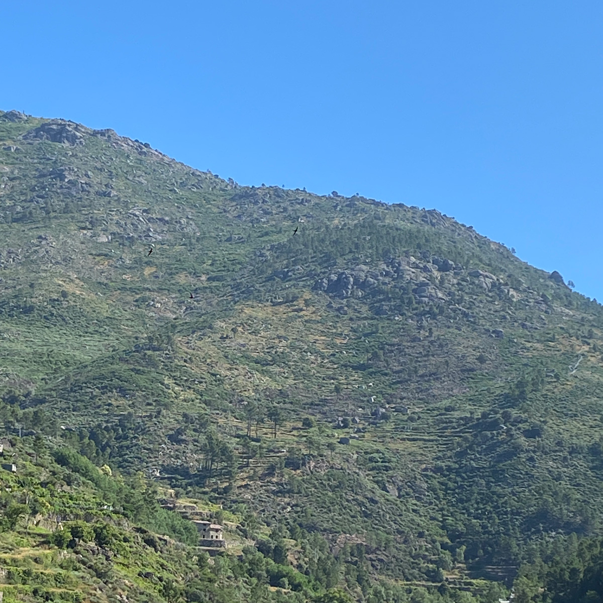 Image of Unhais da Serra River Beach